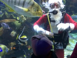 Making Spirits Bright: Volunteer Santa Diver Brings Joy to Central Ohio